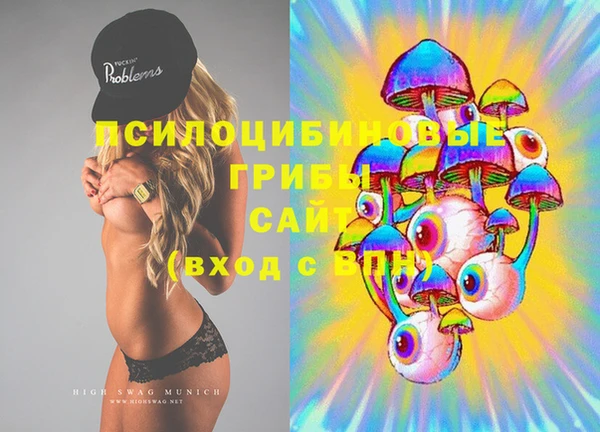 ГАЛЛЮЦИНОГЕННЫЕ ГРИБЫ Остров
