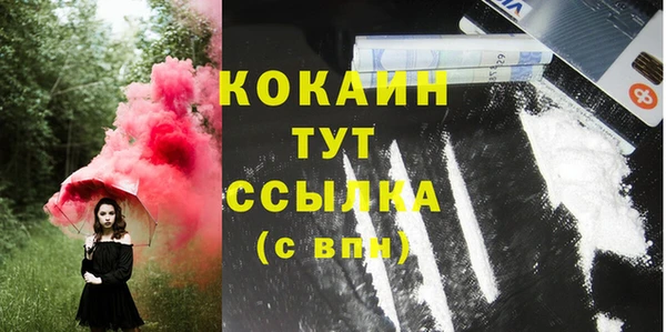 бошки Осинники