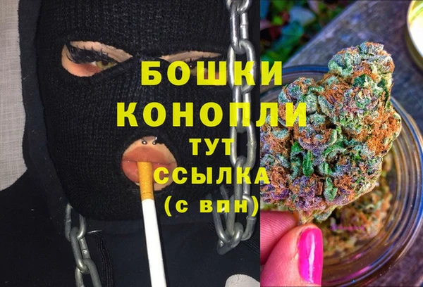 бошки Осинники