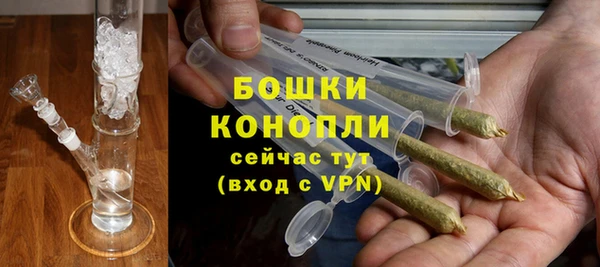 бошки Осинники